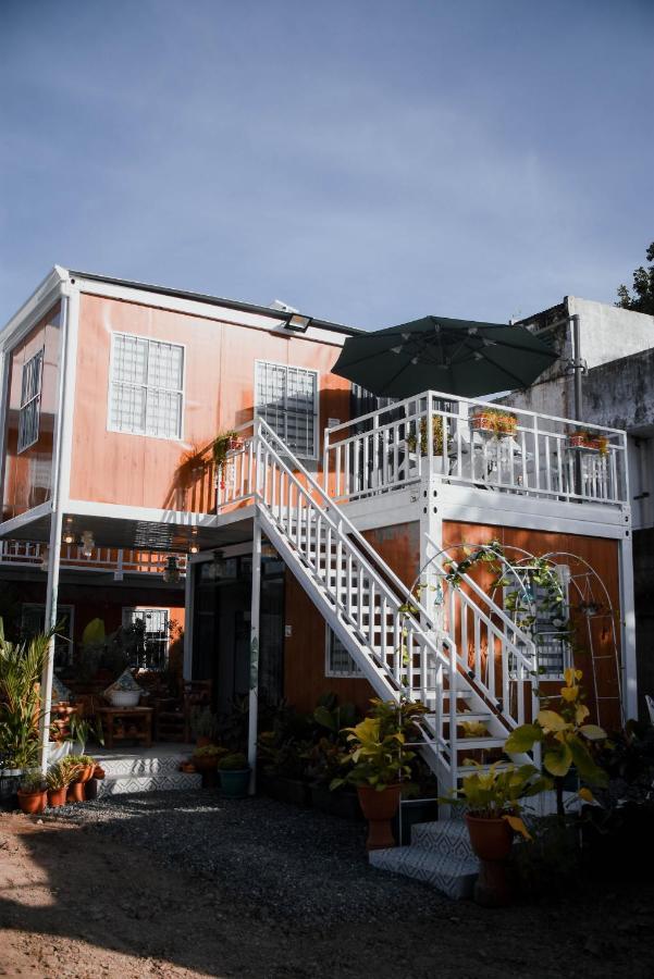 Hostel Olive *