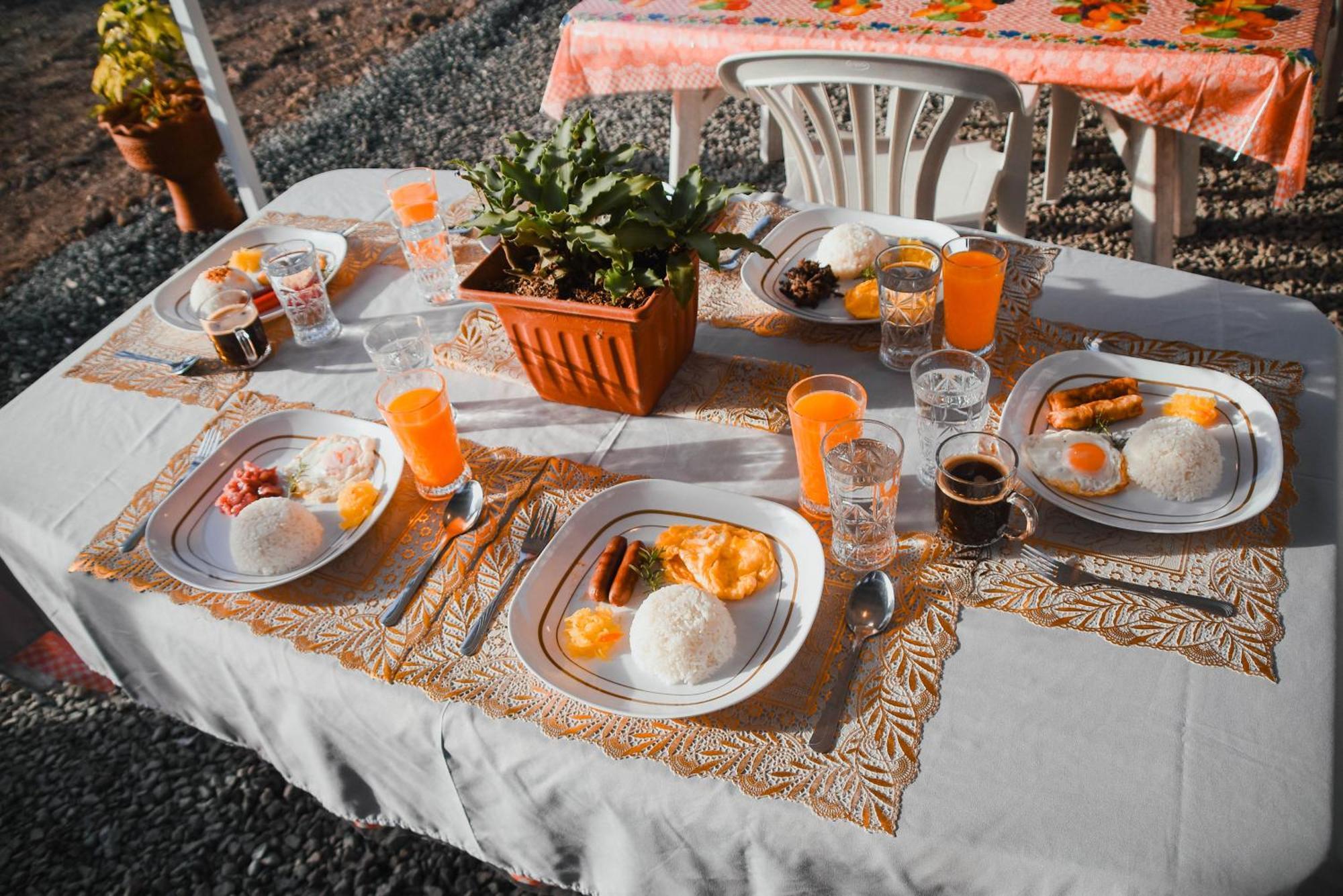 Olive Hostel *