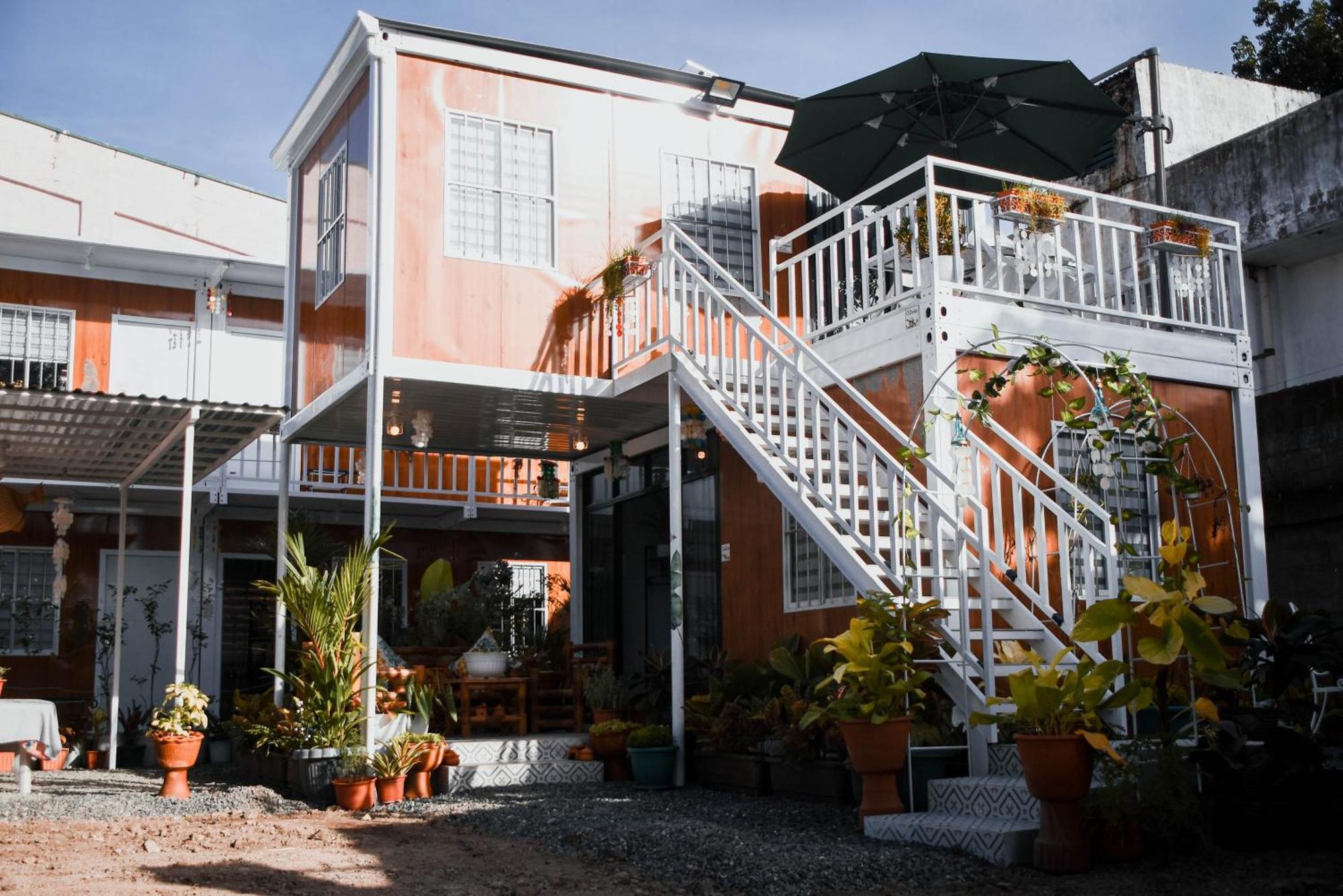 Olive Hostel *