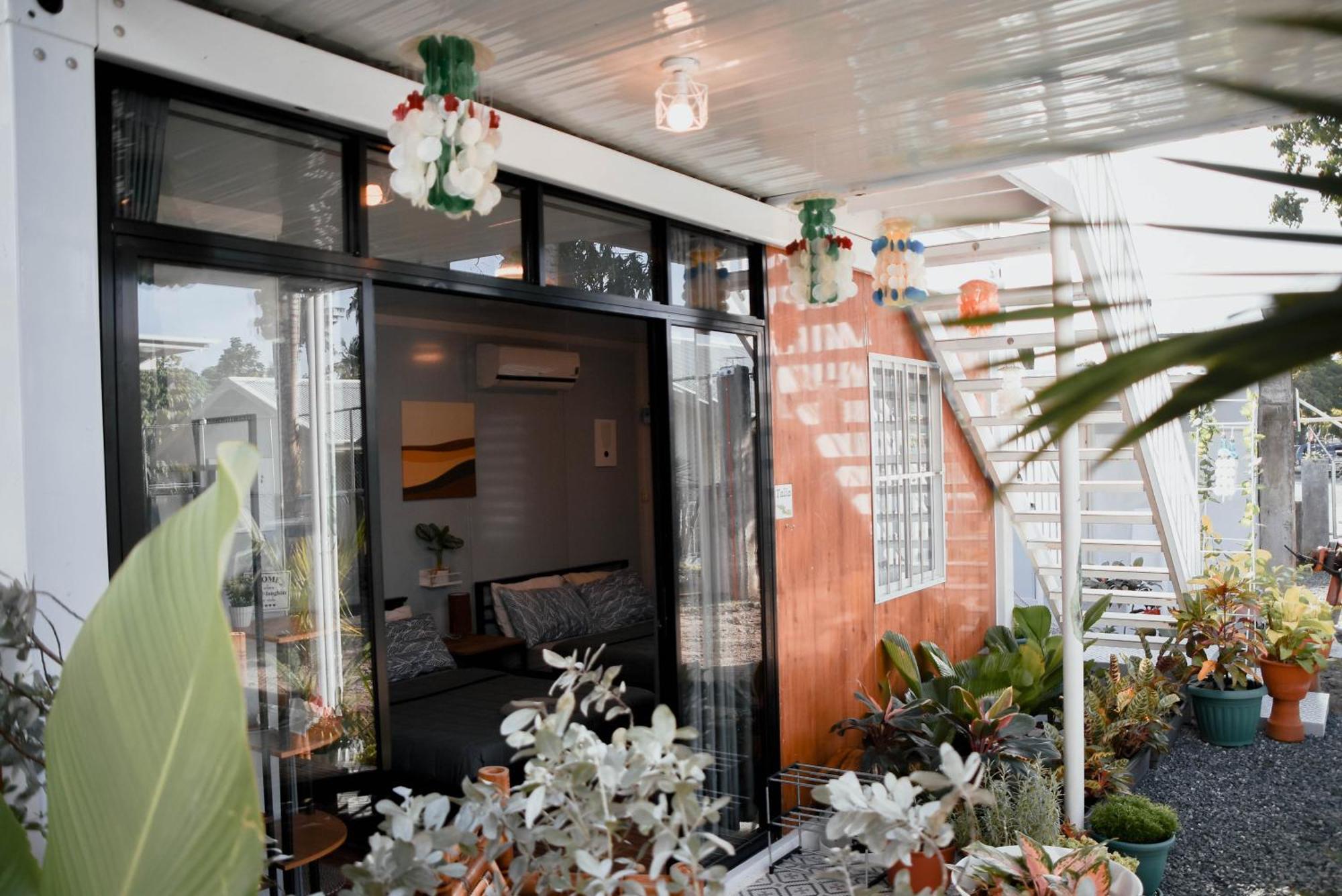 Hostel Olive