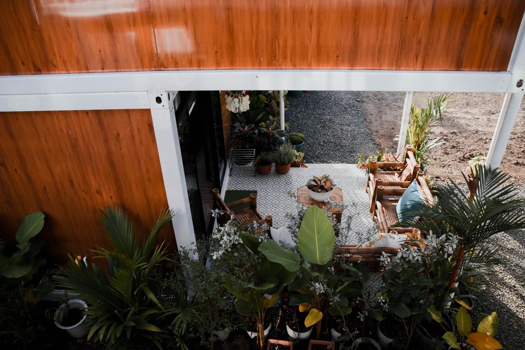 Olive Hostel
