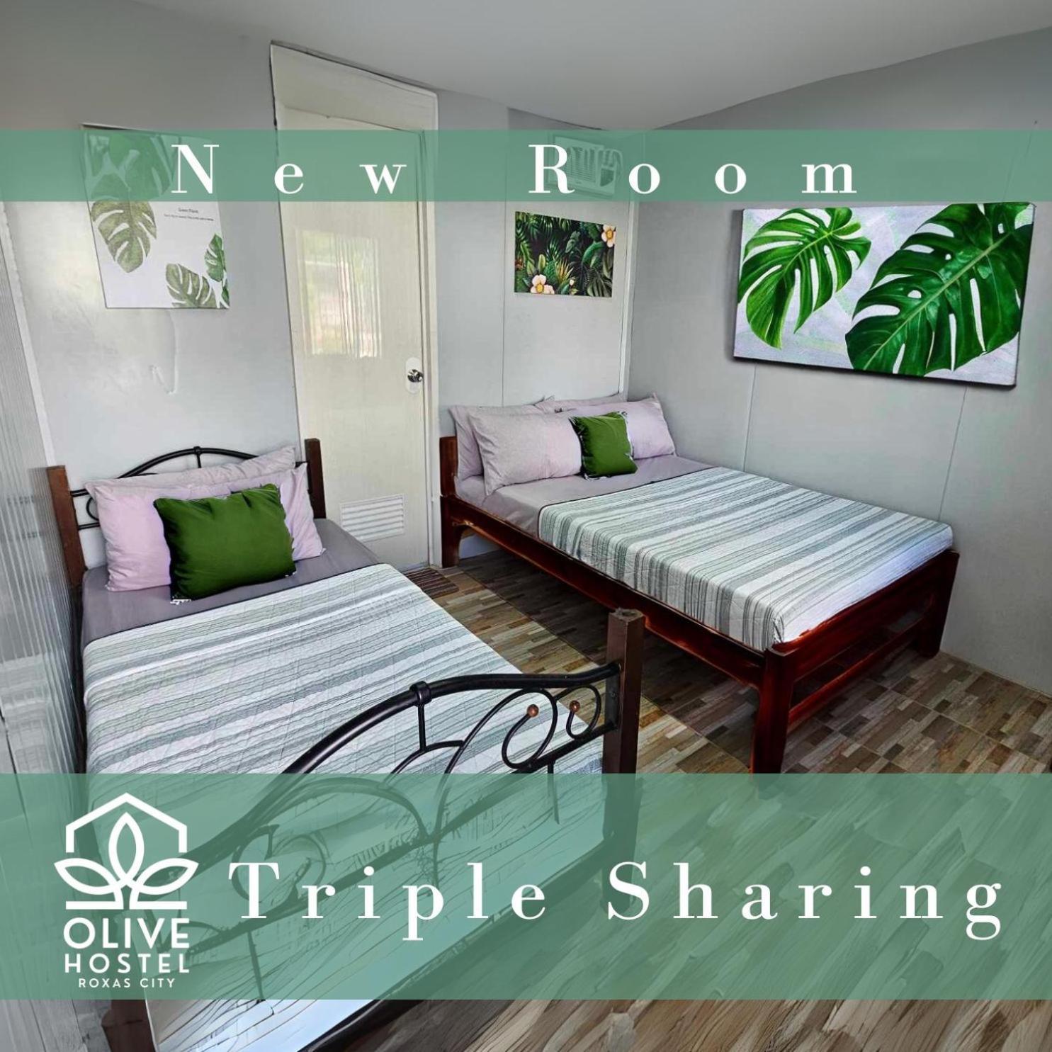 Hostel Olive Roxas City